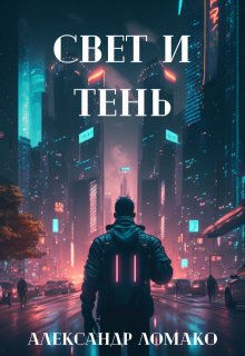 После Лёгкой Прожарки: свет и тень (4 книга) — Александр Ломако